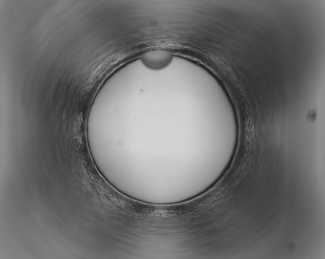 X0000116031265200912111407