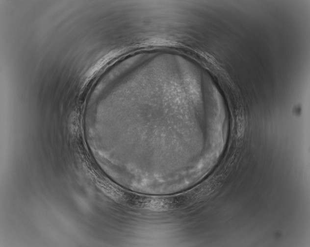 X0000116031266200912111407