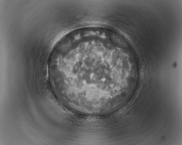 X0000116031267200912111407