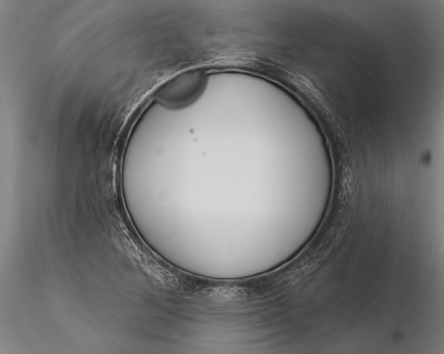 X0000116031268200912111407