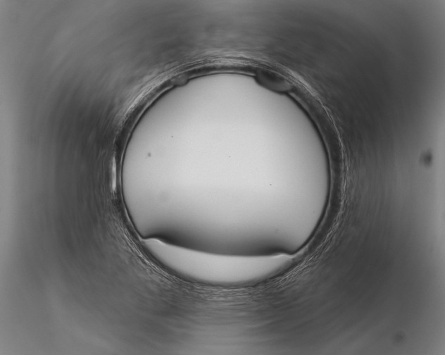 X0000116031269200912111407