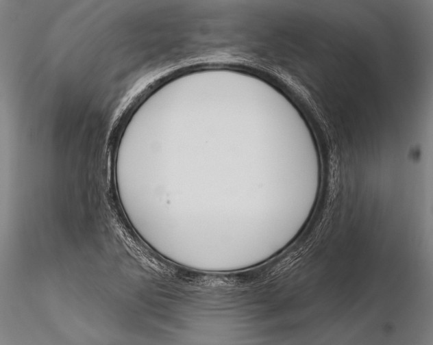 X0000116031270200912111407