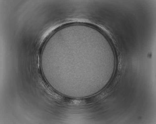 X0000116031271200912111407