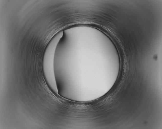 X0000116031273200912111407