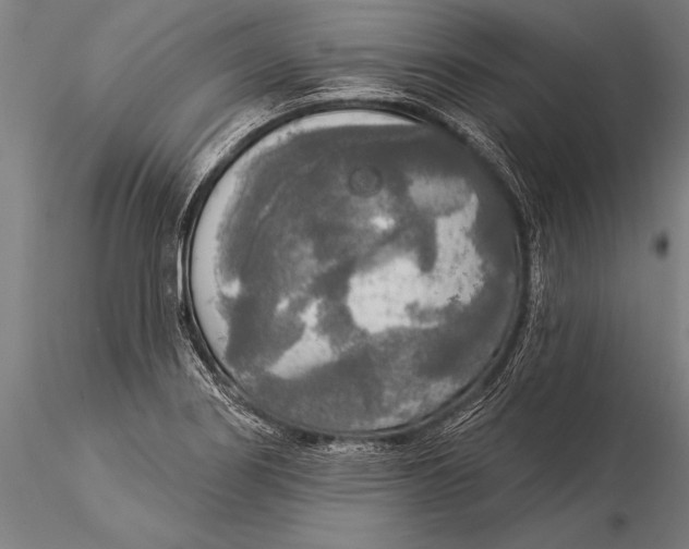 X0000116031274200912111407