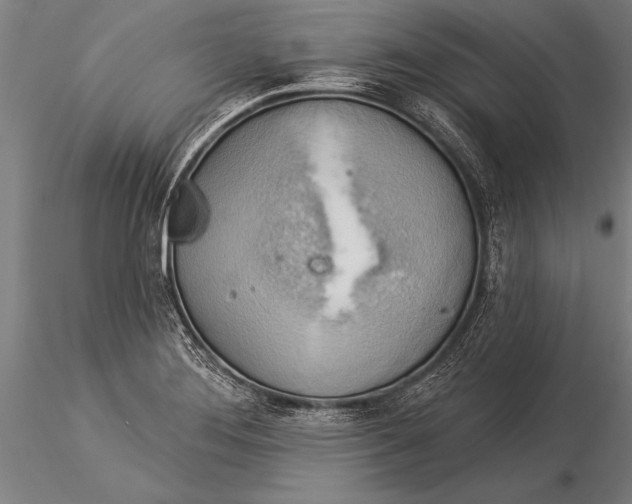 X0000116031276200912111407