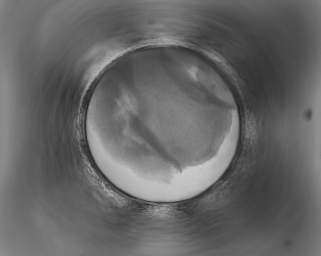 X0000116031278200912111407