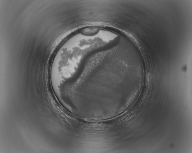 X0000116031279200912111407