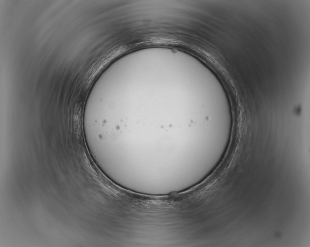 X0000116031281200912111407