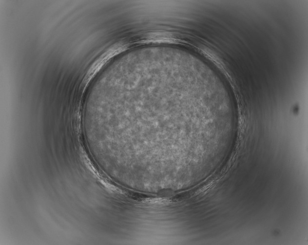 X0000116031282200912111407