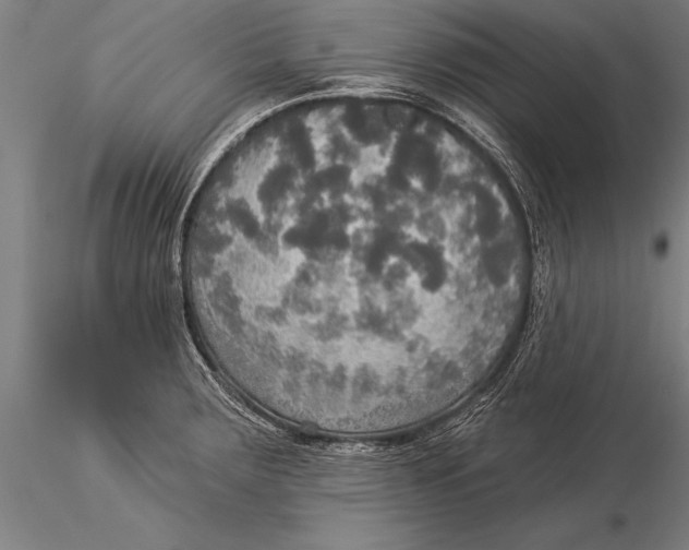 X0000116031283200912111407