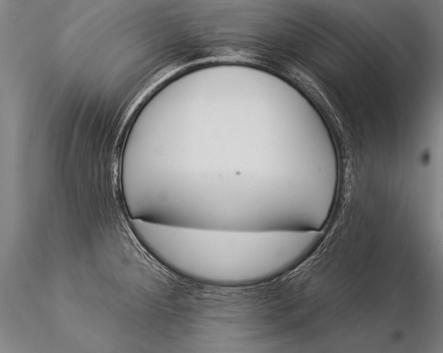 X0000116031284200912111407