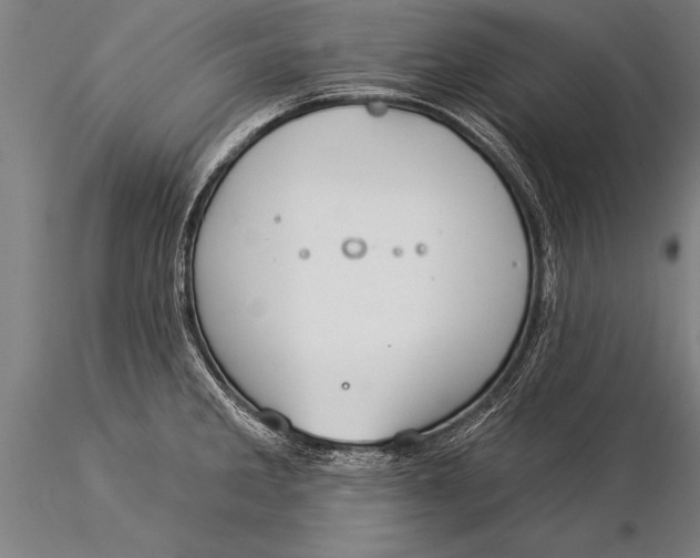 X0000116031285200912111407