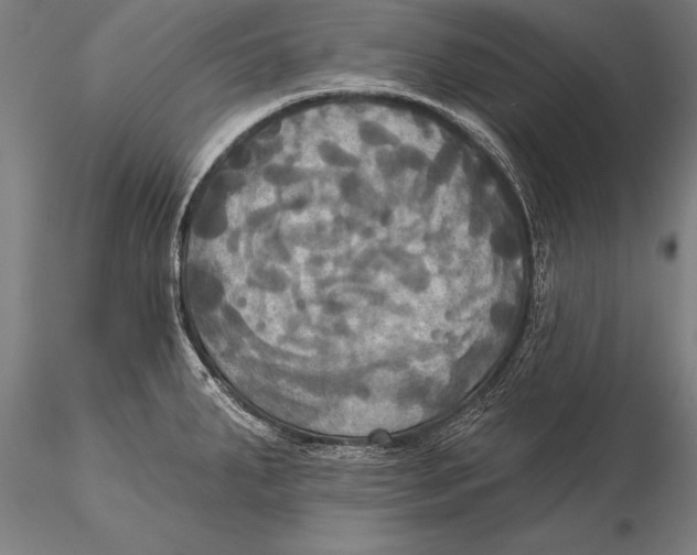 X0000116031287200912111407