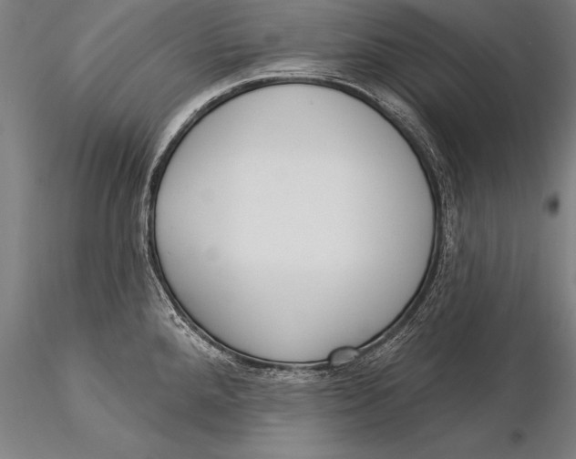 X0000116031288200912111407