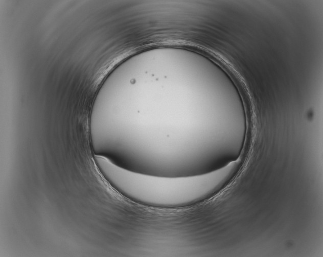 X0000116031289200912111407