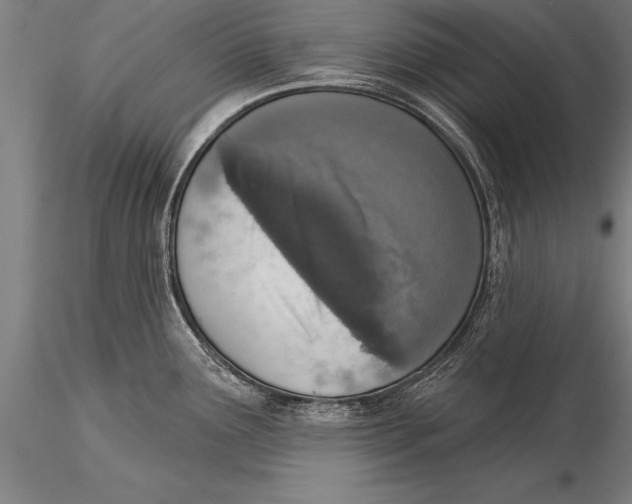 X0000116031291200912111407