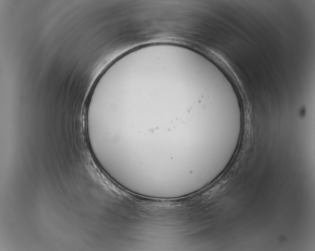 X0000116031292200912111407