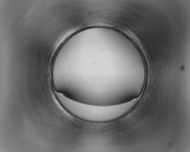 X0000116031293200912111407