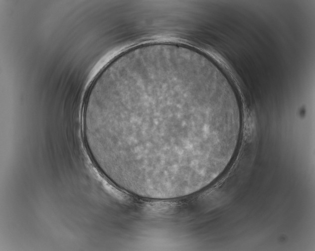 X0000116031294200912111407