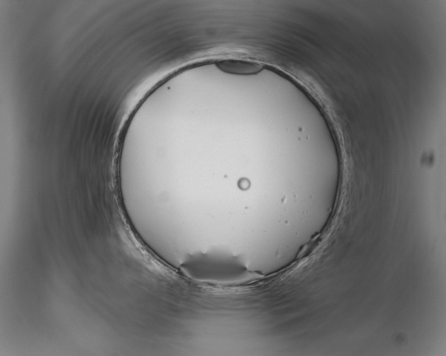 X0000116031296200912111407