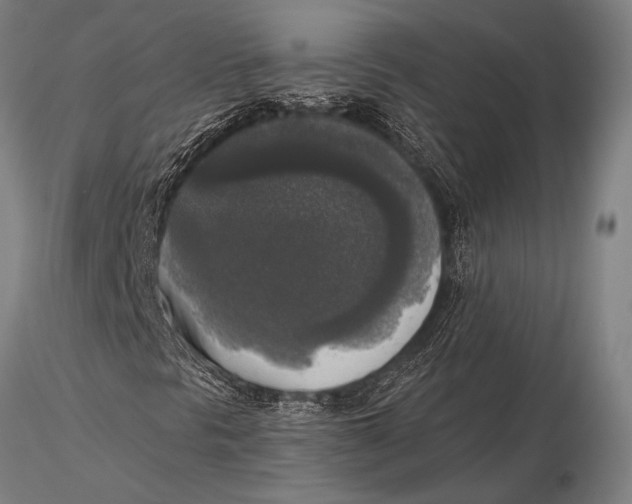 X0000116031297200912111406