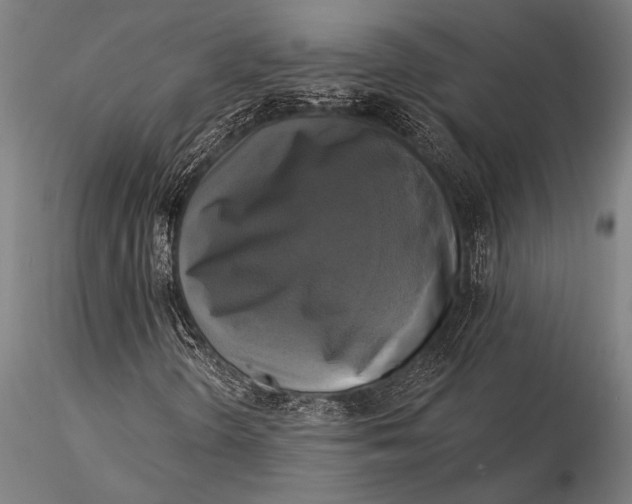 X0000116031298200912111406