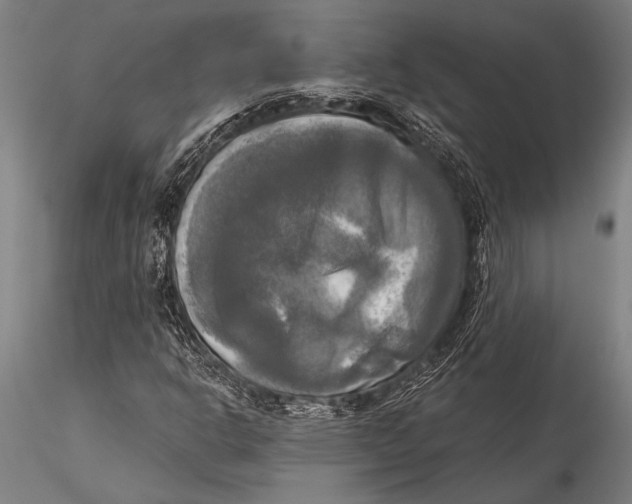 X0000116031302200912111406