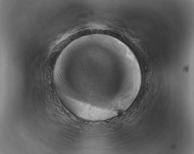 X0000116031303200912111406