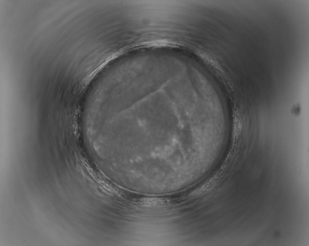 X0000116031305200912111406