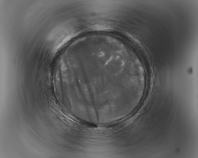 X0000116031306200912111406