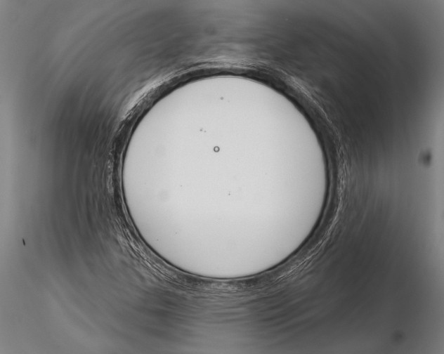 X0000116031307200912111406