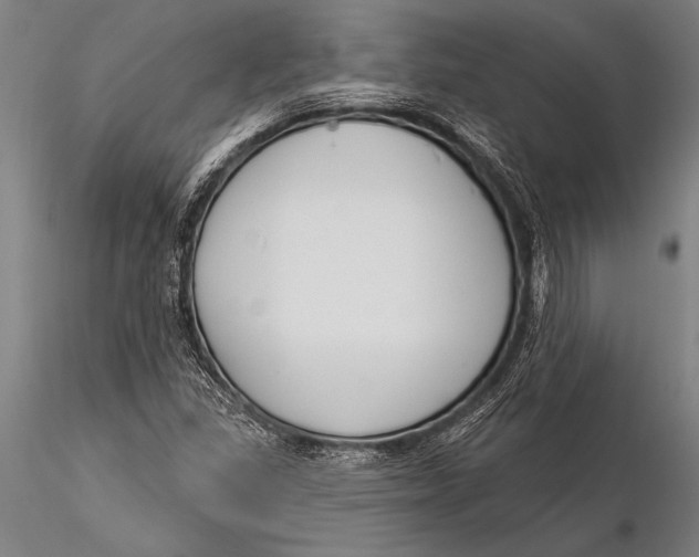 X0000116031309200912111406