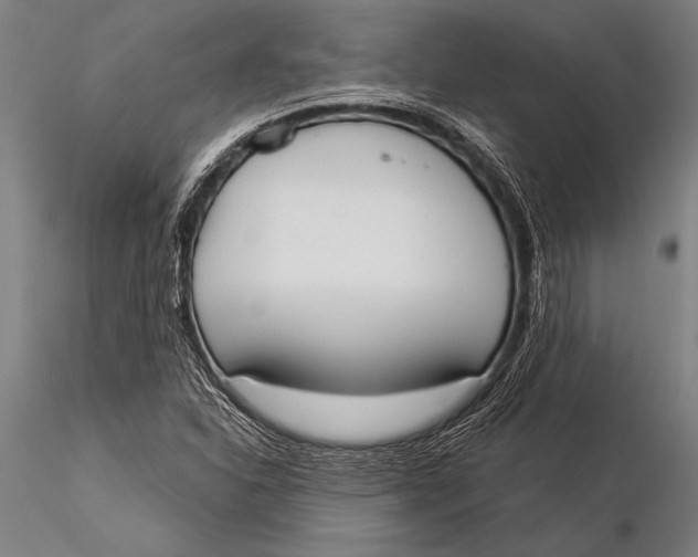 X0000116031310200912111406