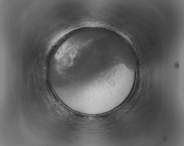 X0000116031311200912111406