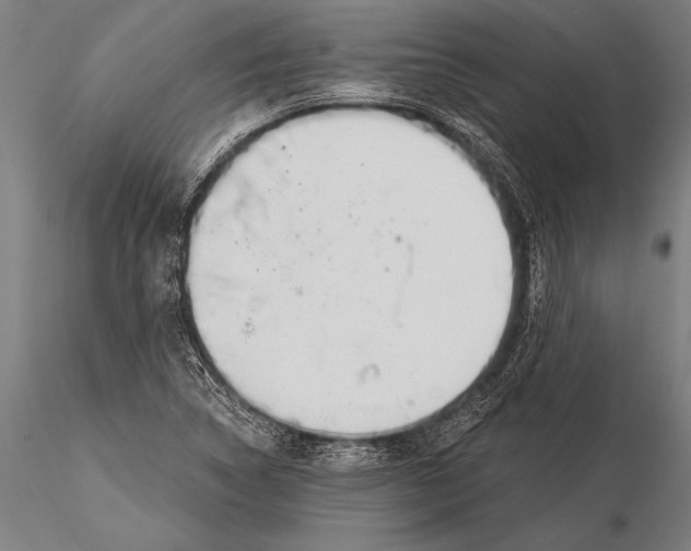 X0000116031314200912111406