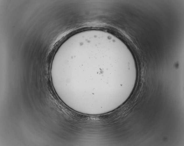 X0000116031315200912111406