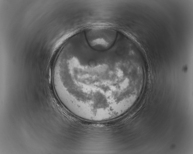 X0000116031317200912111406