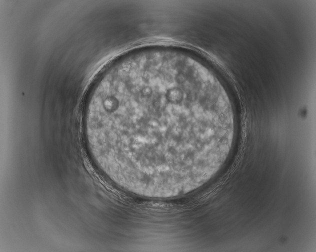 X0000116031318200912111406