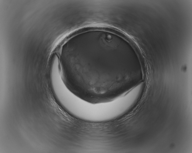 X0000116031319200912111406