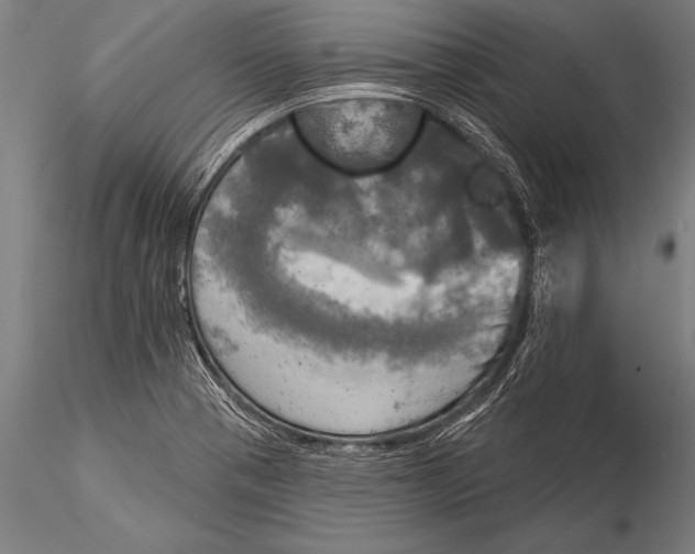 X0000116031321200912111406