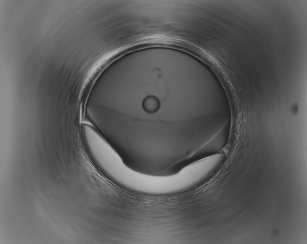 X0000116031323200912111406