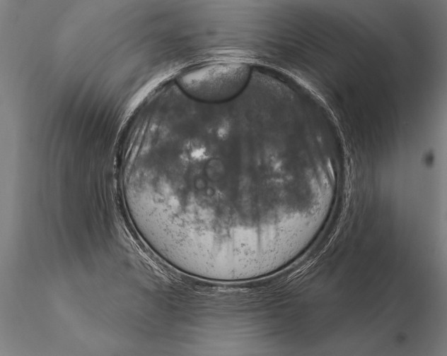 X0000116031325200912111406