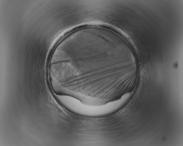 X0000116031327200912111407