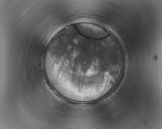 X0000116031329200912111407