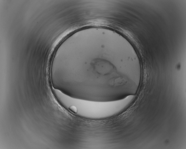 X0000116031331200912111407