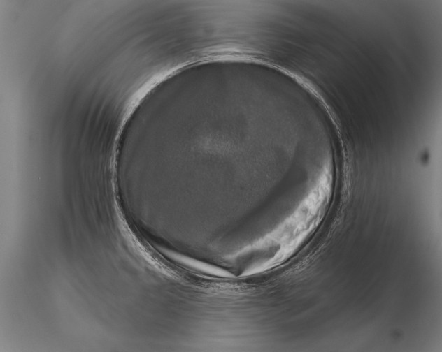 X0000116031333200912111407