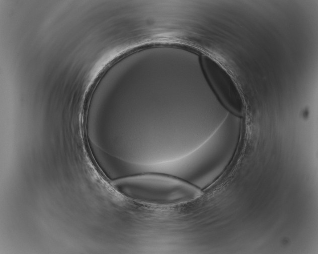 X0000116031334200912111407