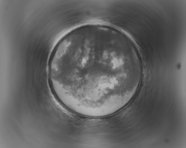 X0000116031335200912111407