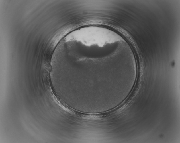 X0000116031337200912111407